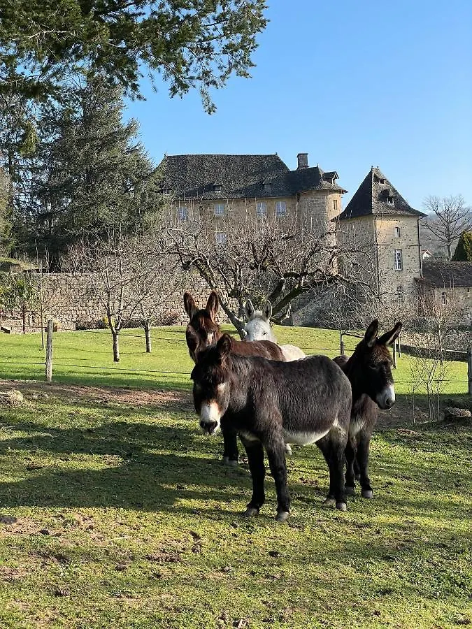 Castle In The Beautiful French Countryside With All Modern Comfort Terrou 0*,