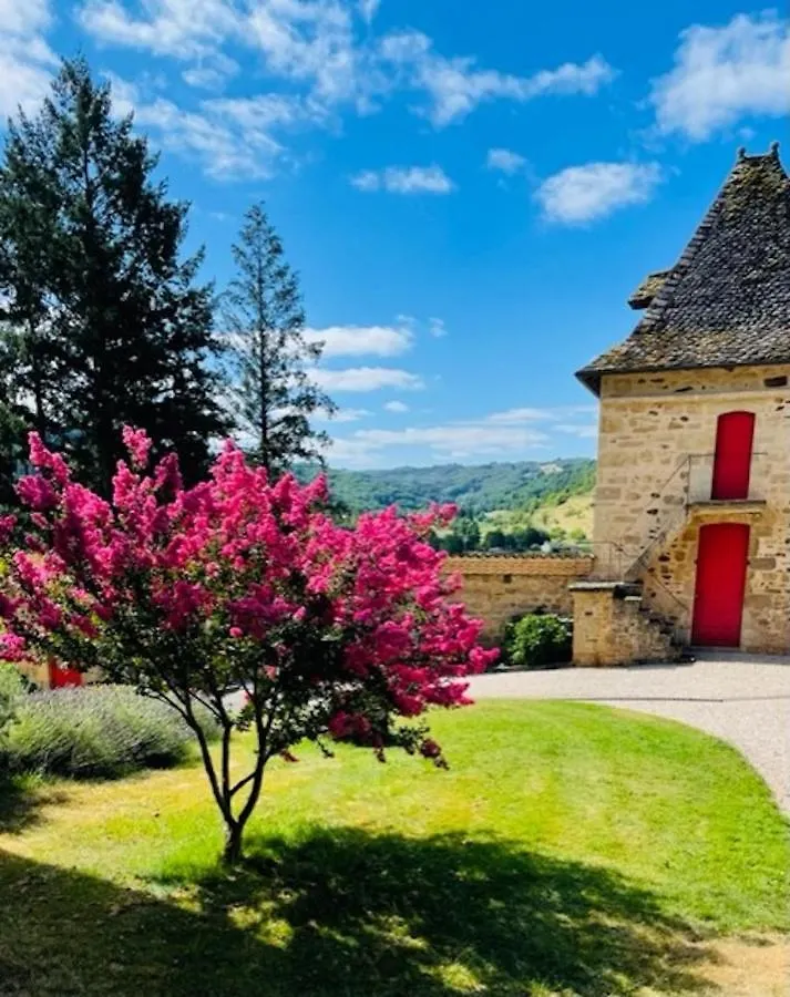Castle In The Beautiful French Countryside With All Modern Comfort Terrou 0*,